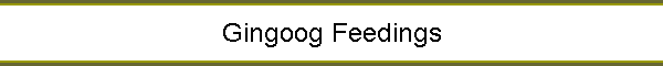 Gingoog Feedings